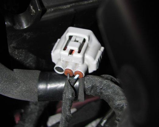 Kangoo G2 TFL Stecker.jpg